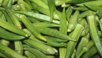 Okra Supplier in India