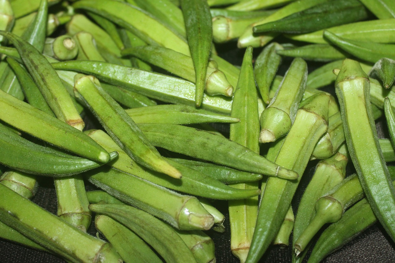 Okra Supplier in India